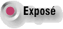 Exposé
